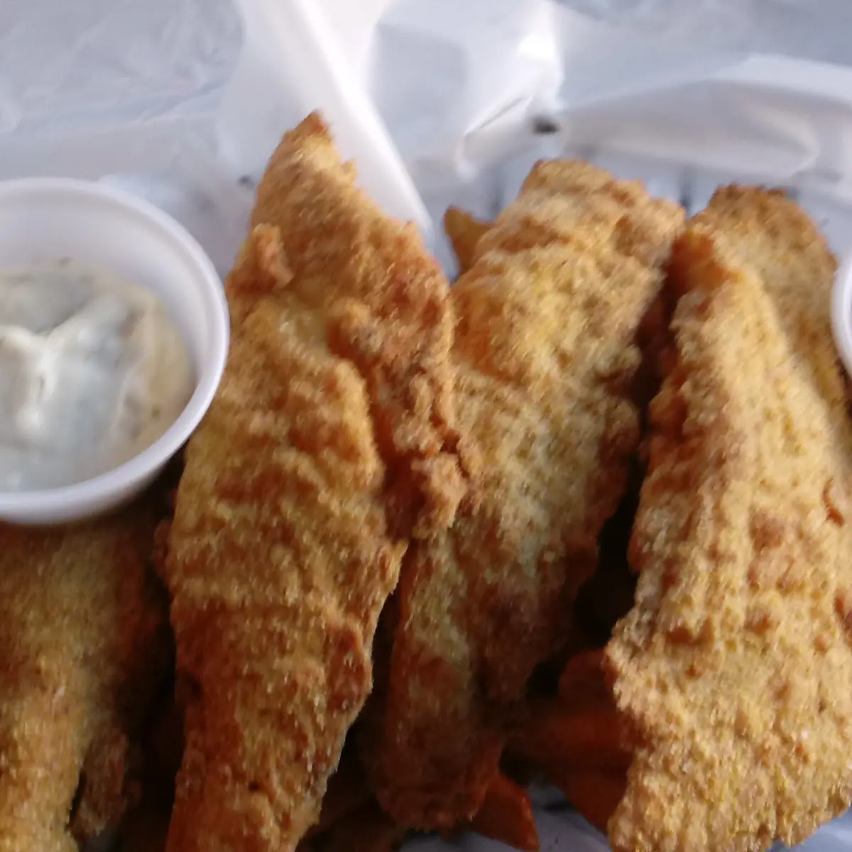 Fried Catfish