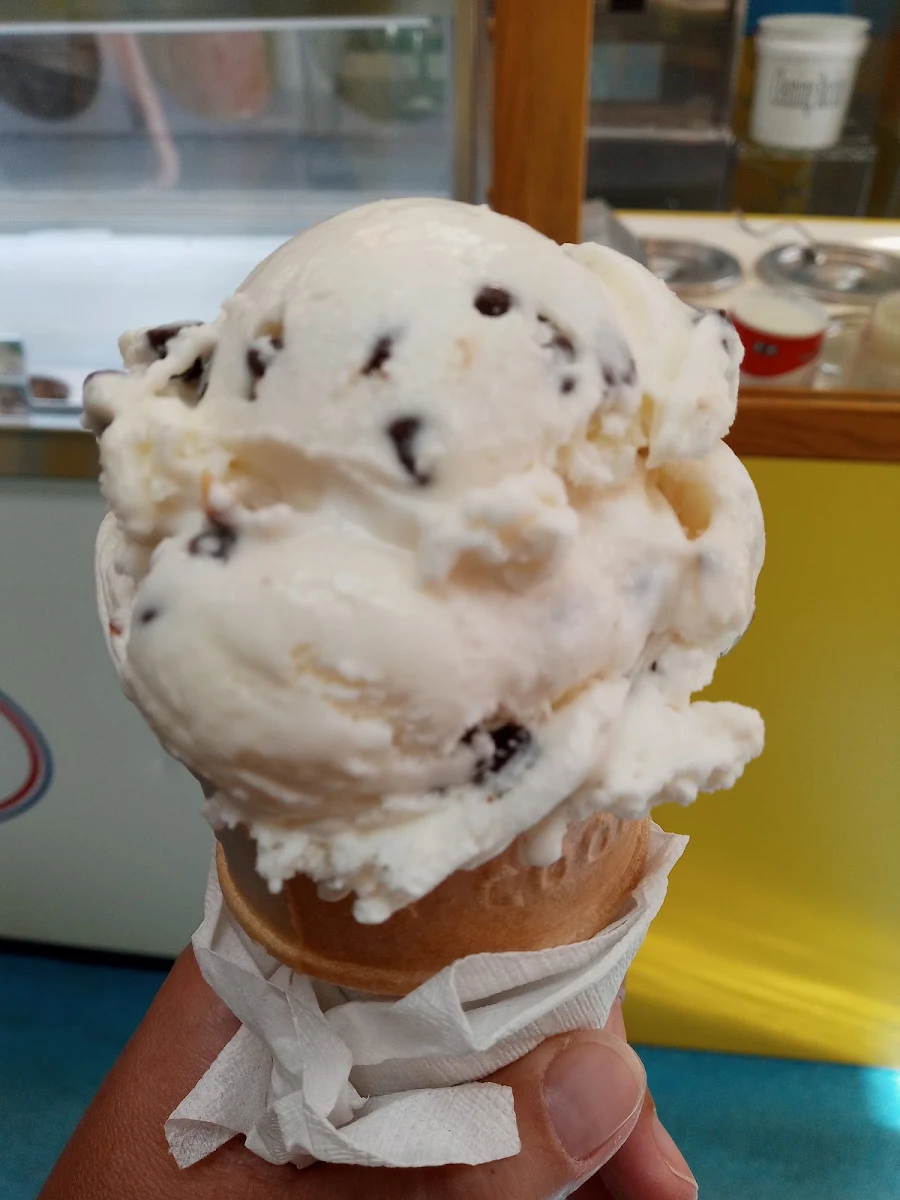 Chocolate Chip