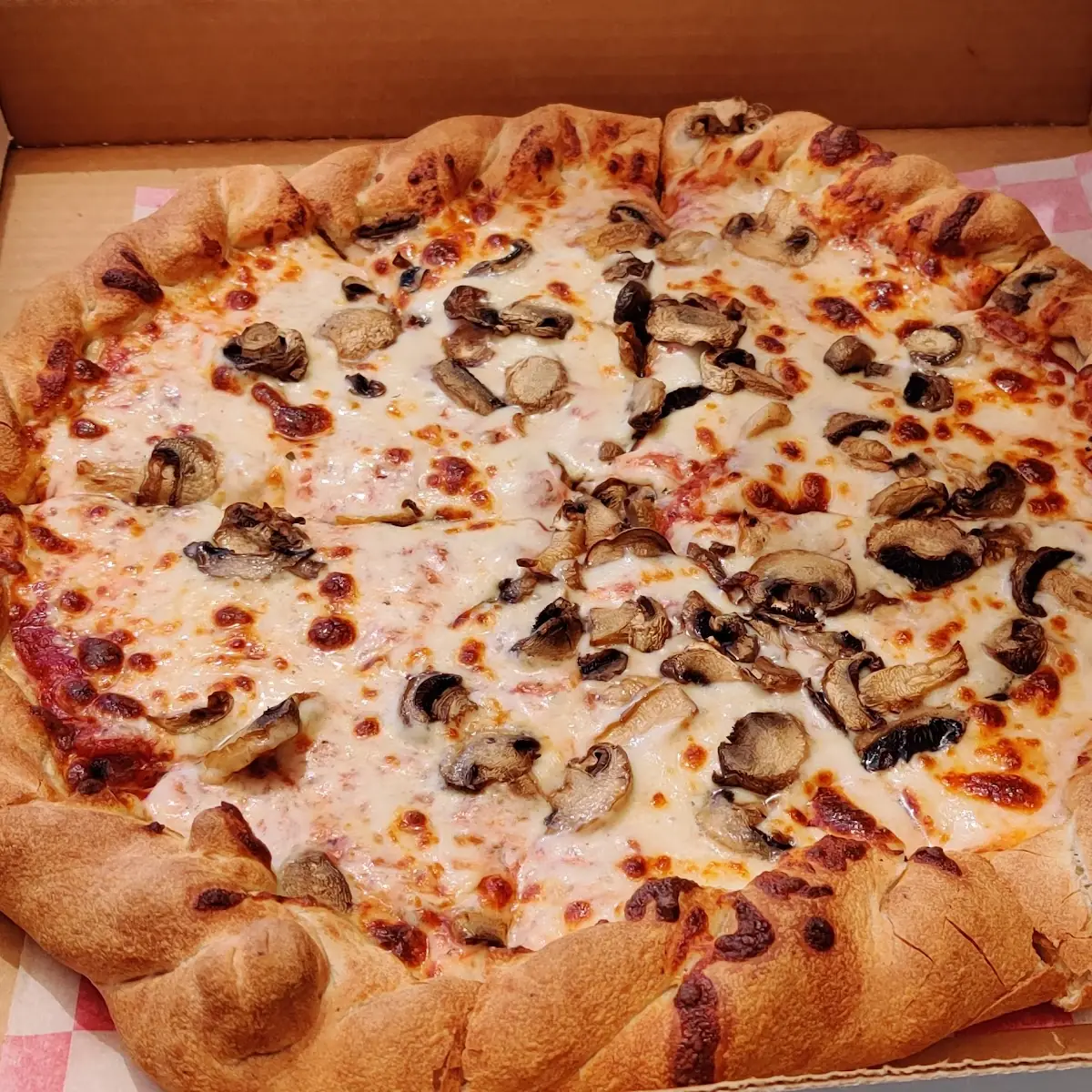 Medium Mushroom Pizza