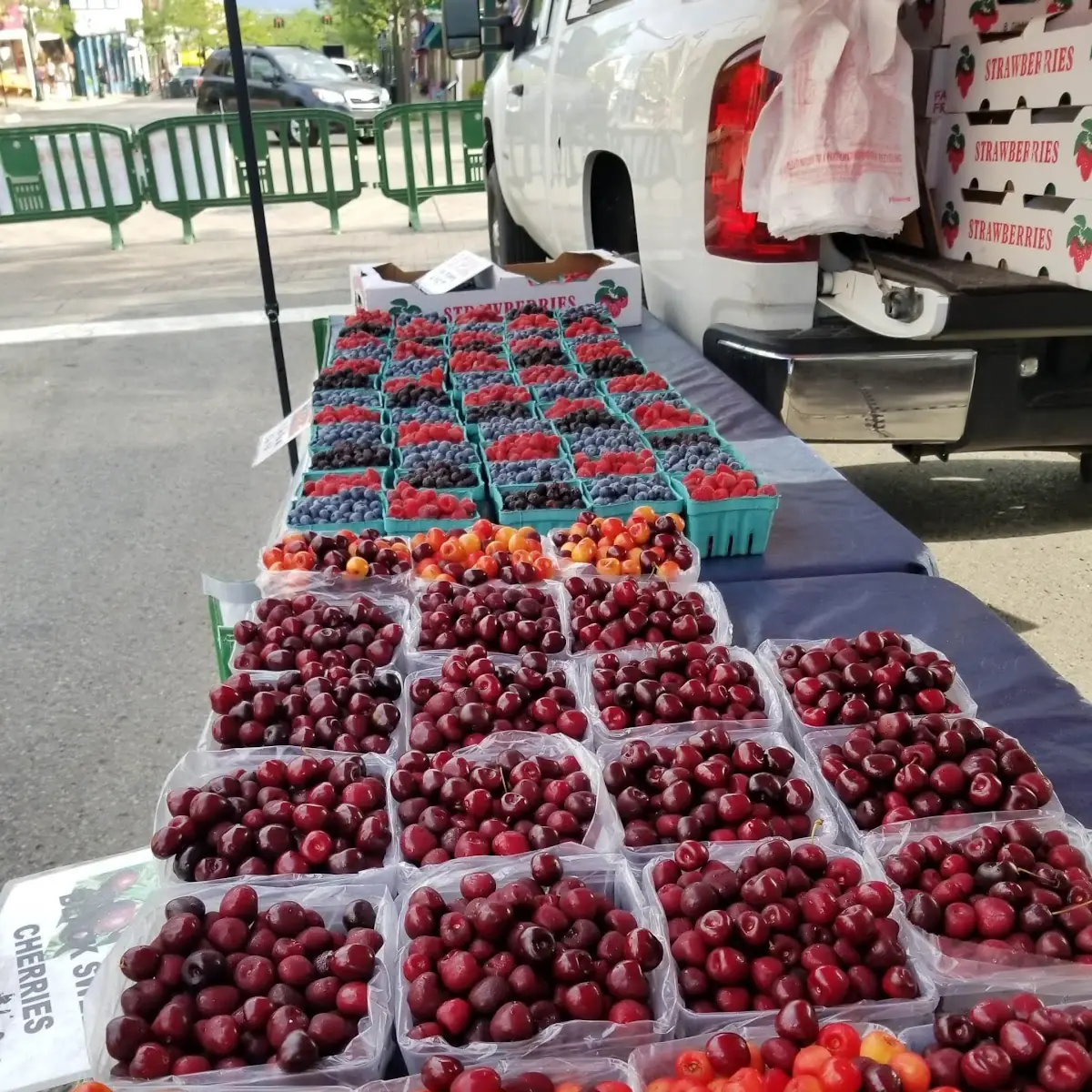 Fresh Fruit