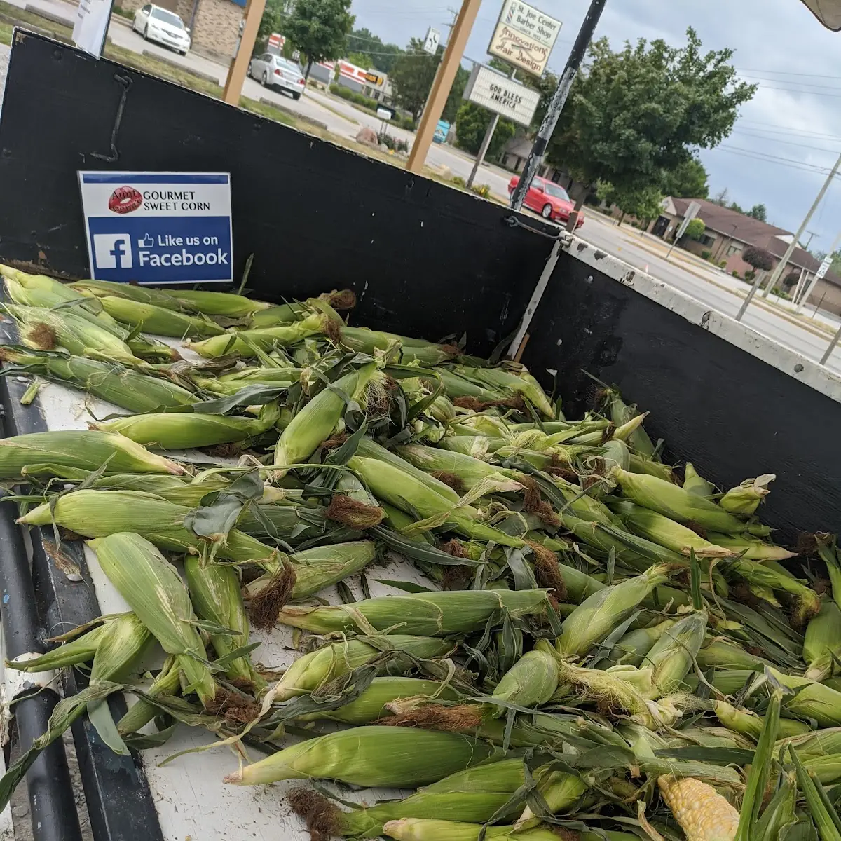 Sweet Corn