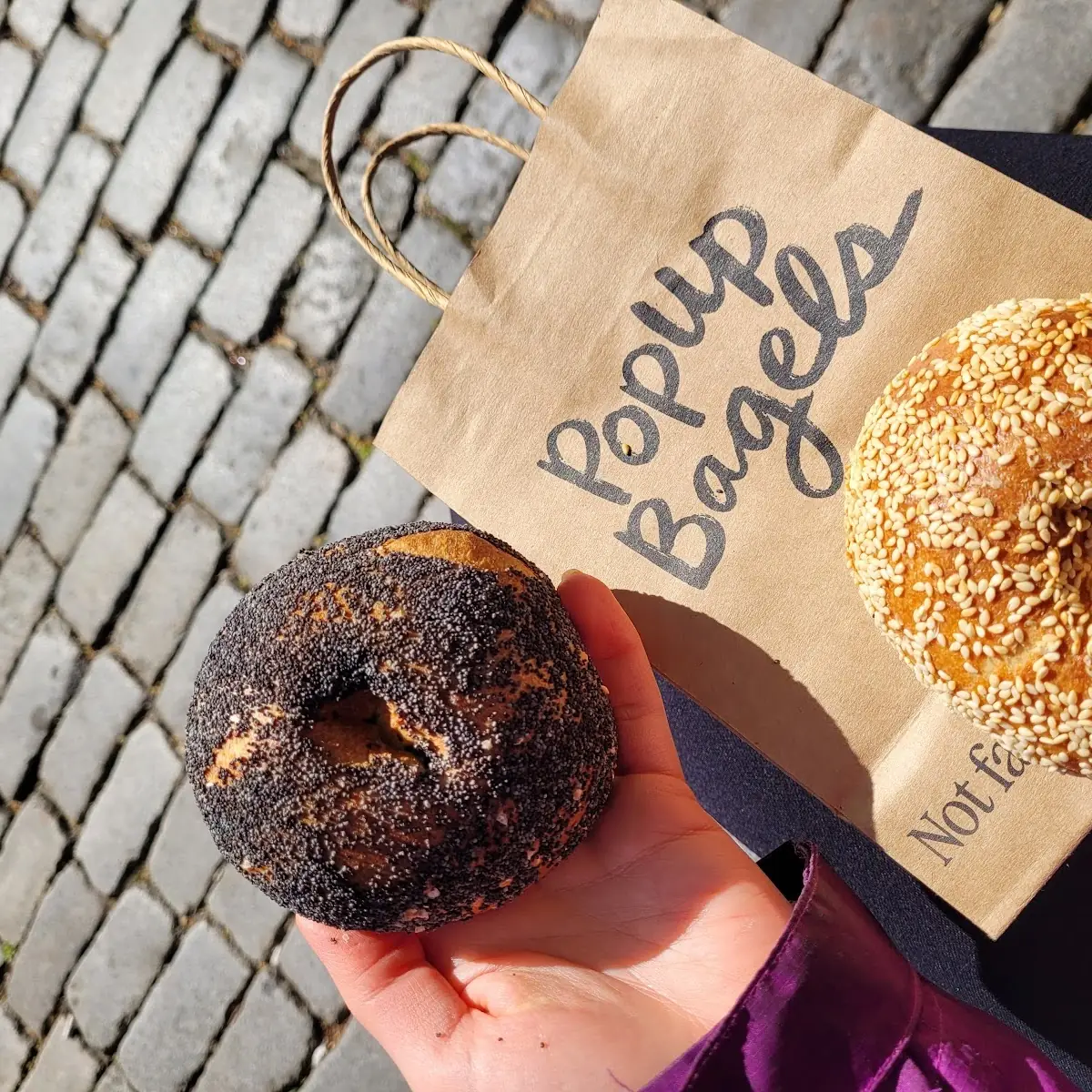 Everything Bagel Sesame Bagel