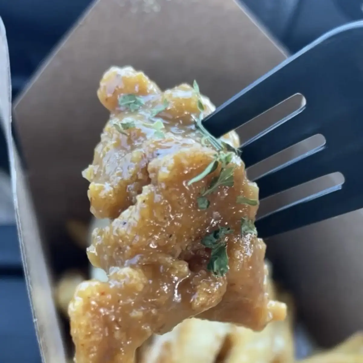 Honey Garlic Chicken