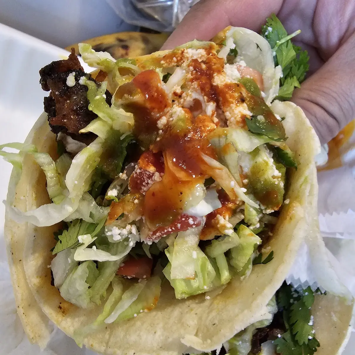 Tacos Mexicanos Con Cecina
