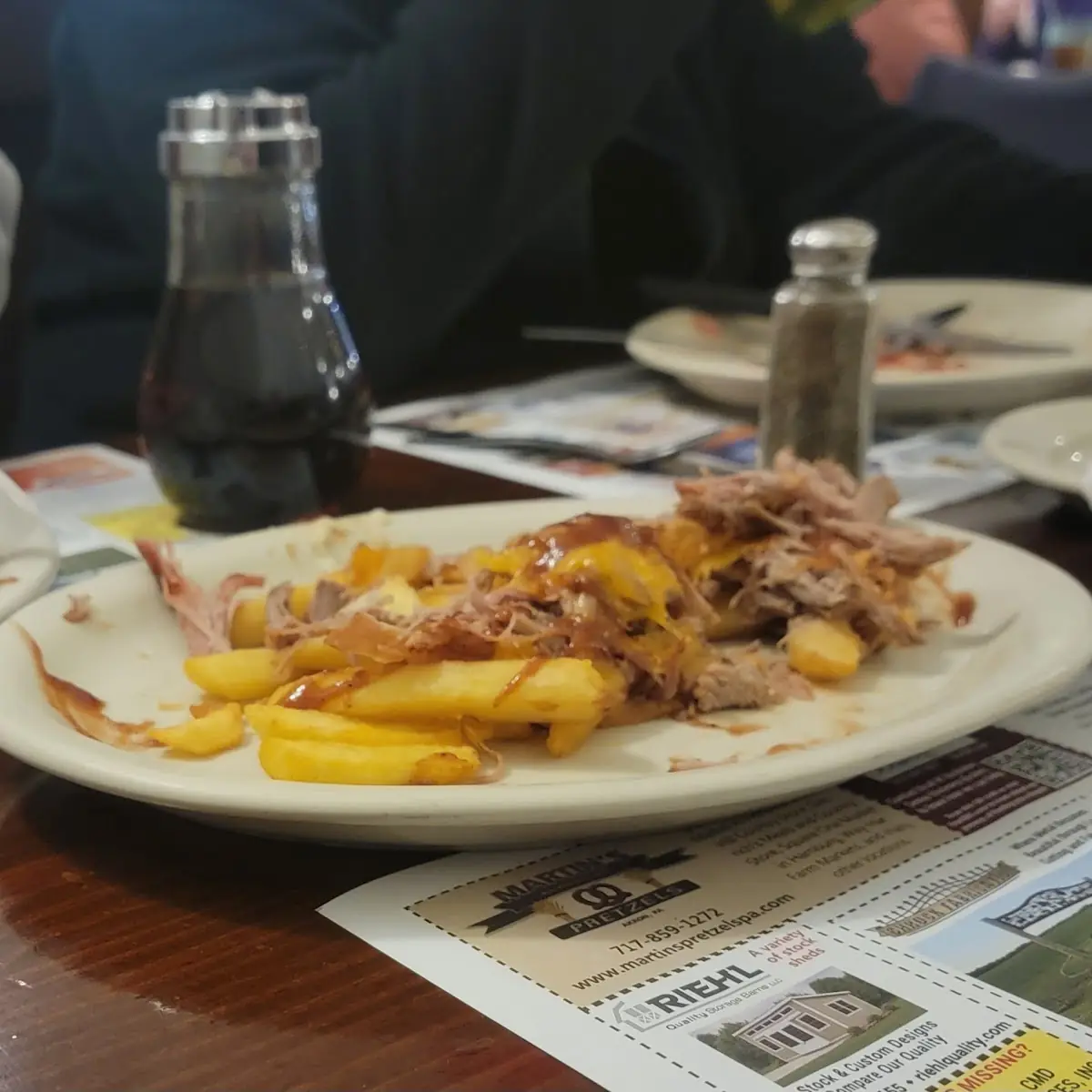 BBQ Pulled Pork Fries with Cheese