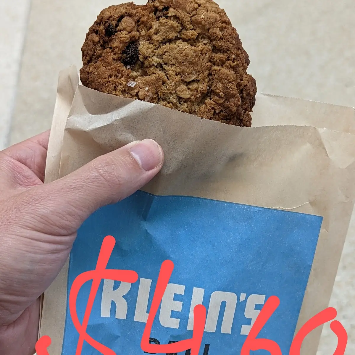 Oatmeal Raisin Cookie