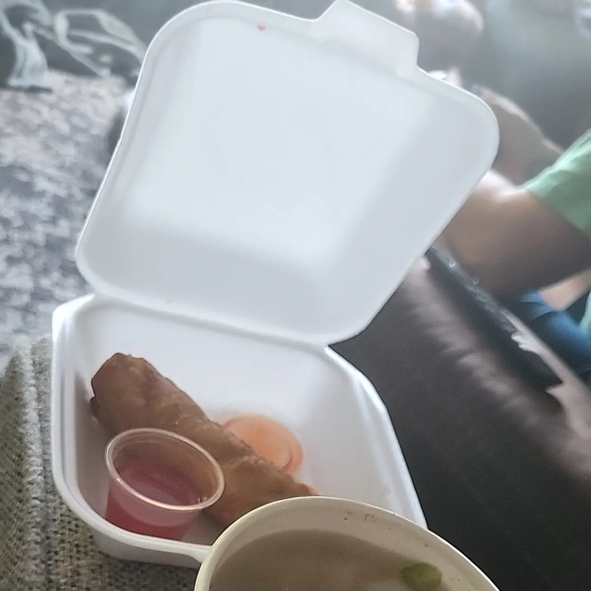 Wonton Soup