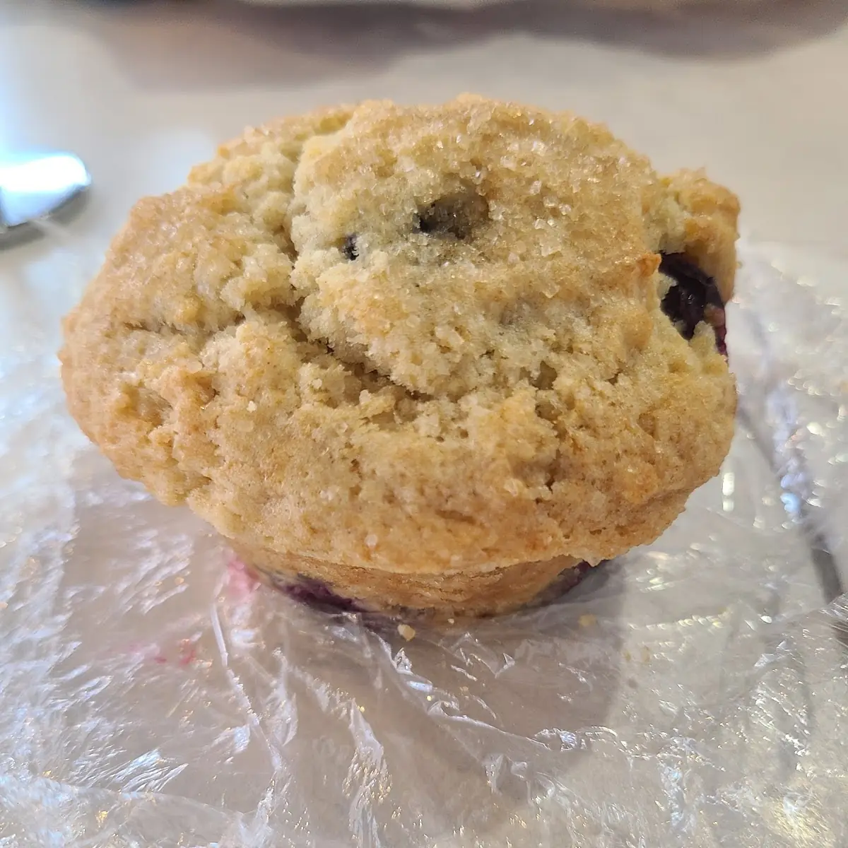 Blueberry Muffin