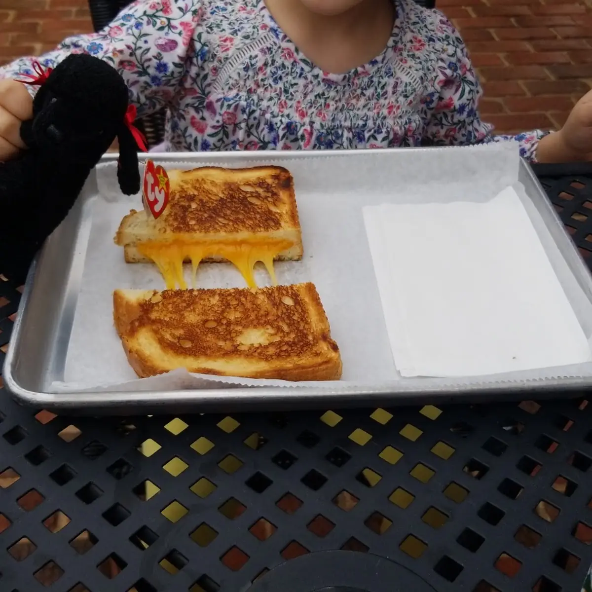 Kids Grilled Cheese Sandwich