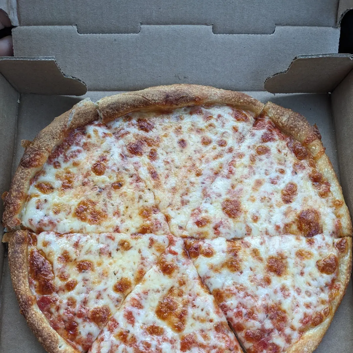 Cheese Pizza