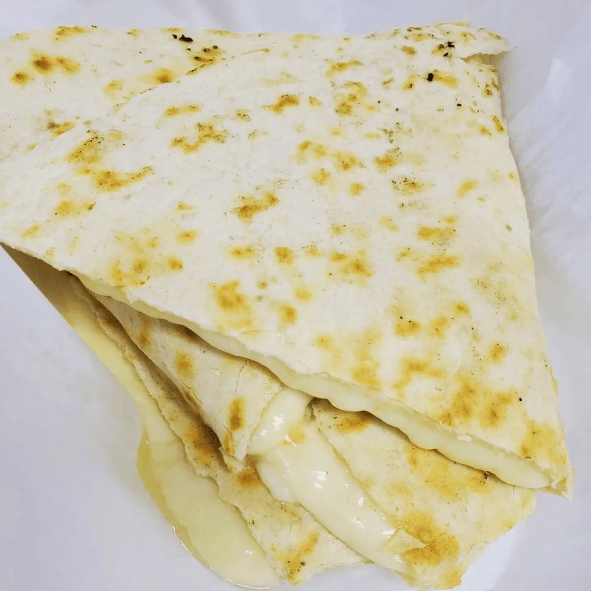 Cheese Quesadilla