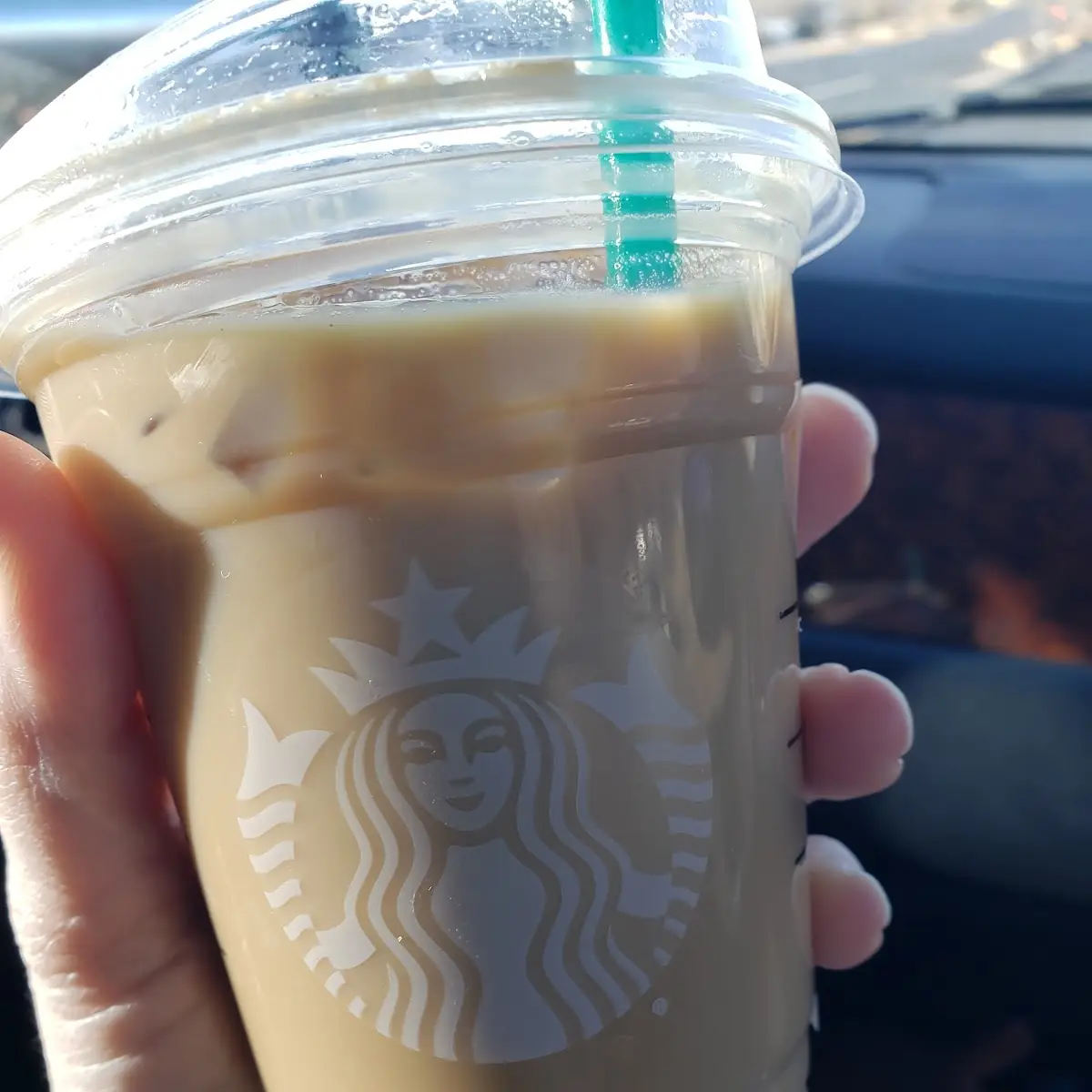 Pumpkin Cream Cold Brew