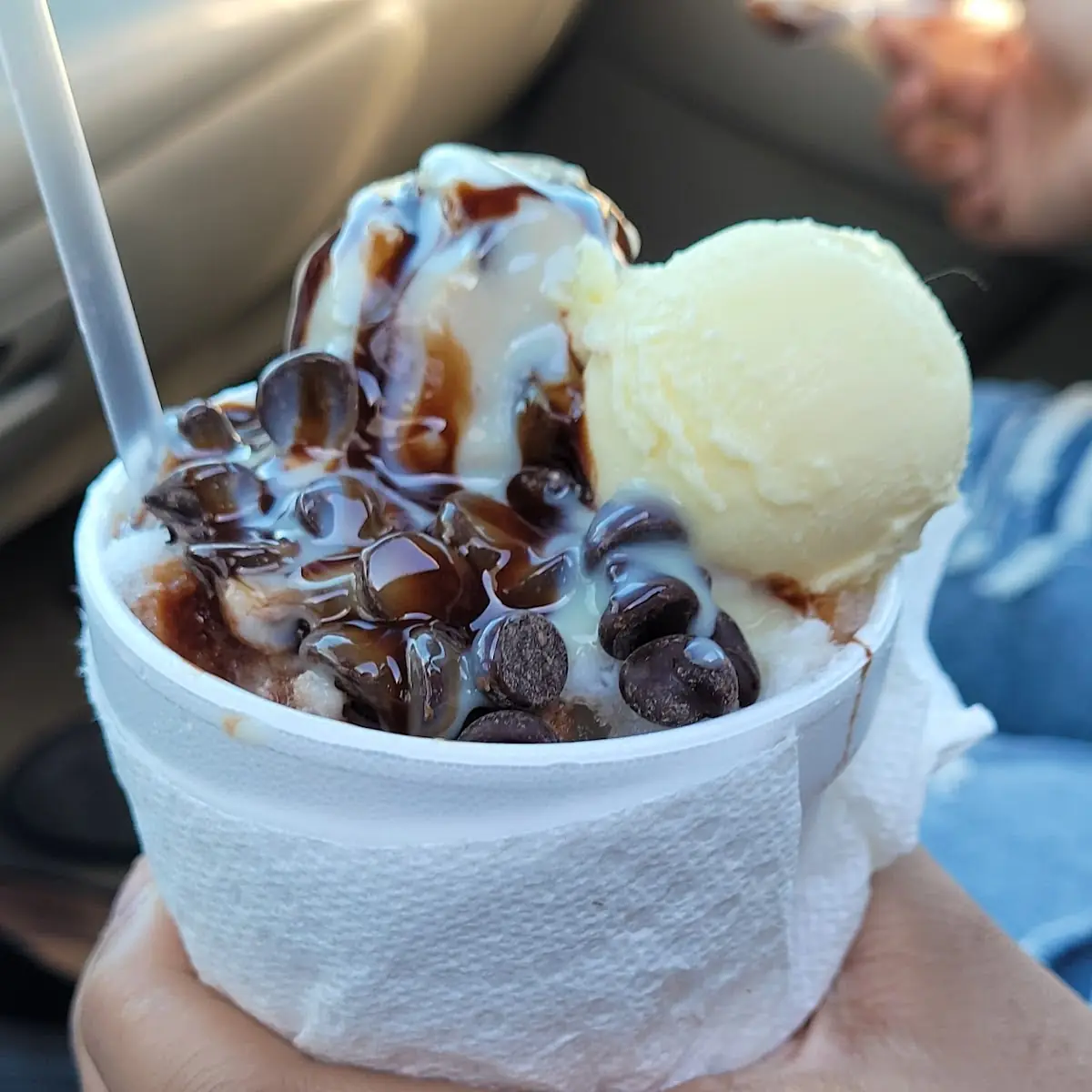 Chocolate Chip Cookie Dough