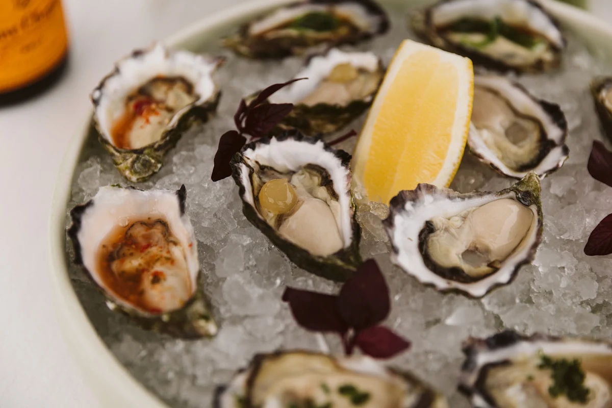Cold Oyster, Thirty Three Degrees