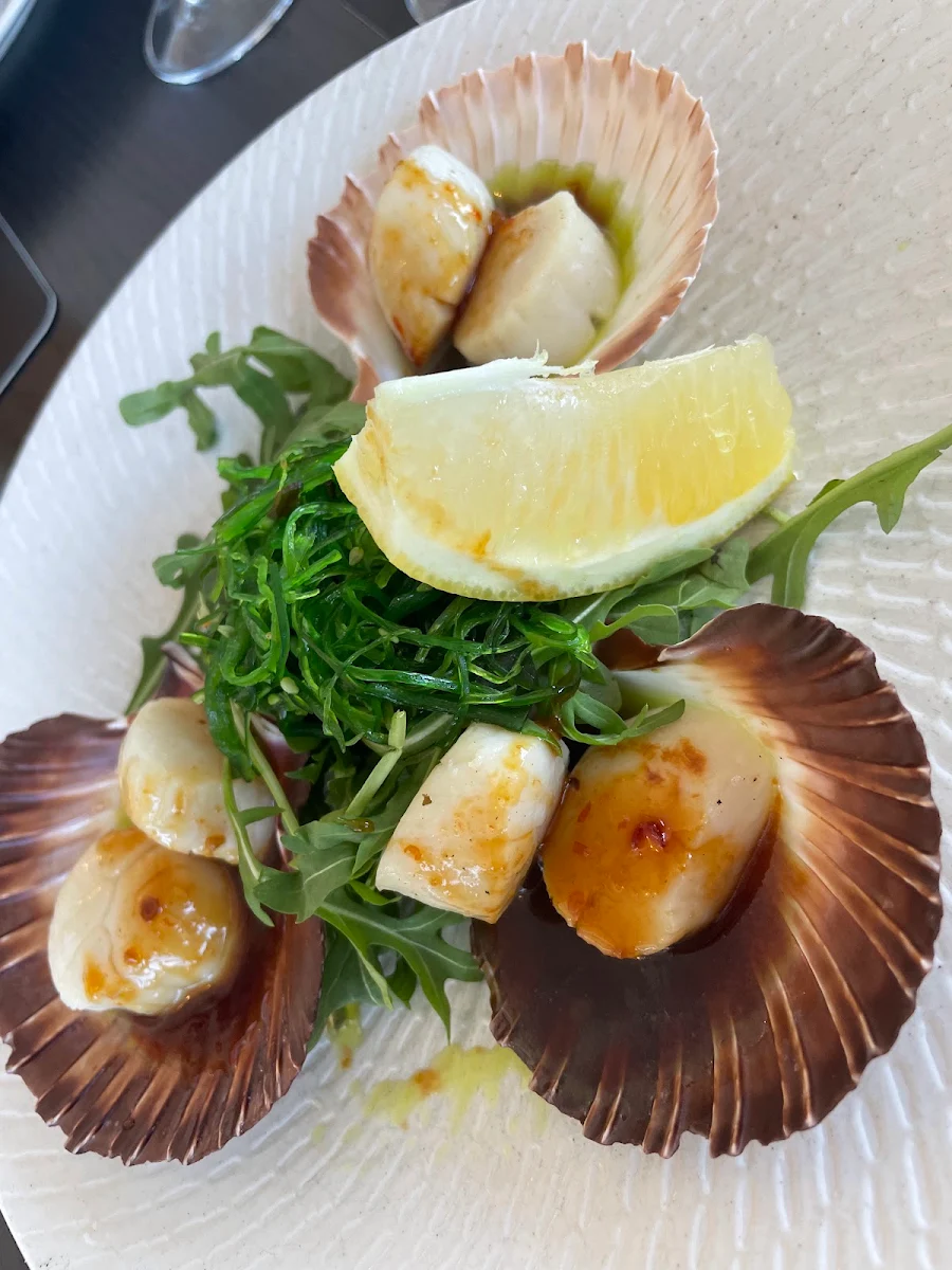 Scallops, Thirty Three Degrees