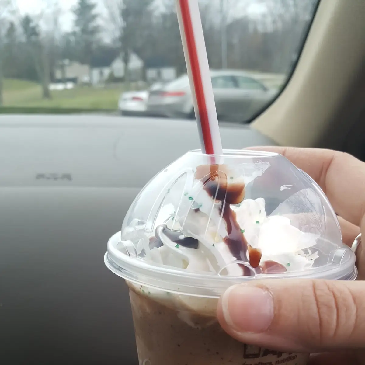 Chocolate Chip Frappe