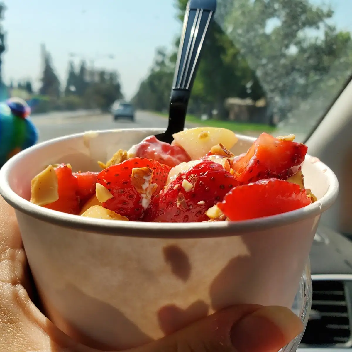 Greek Yogurt Bowl