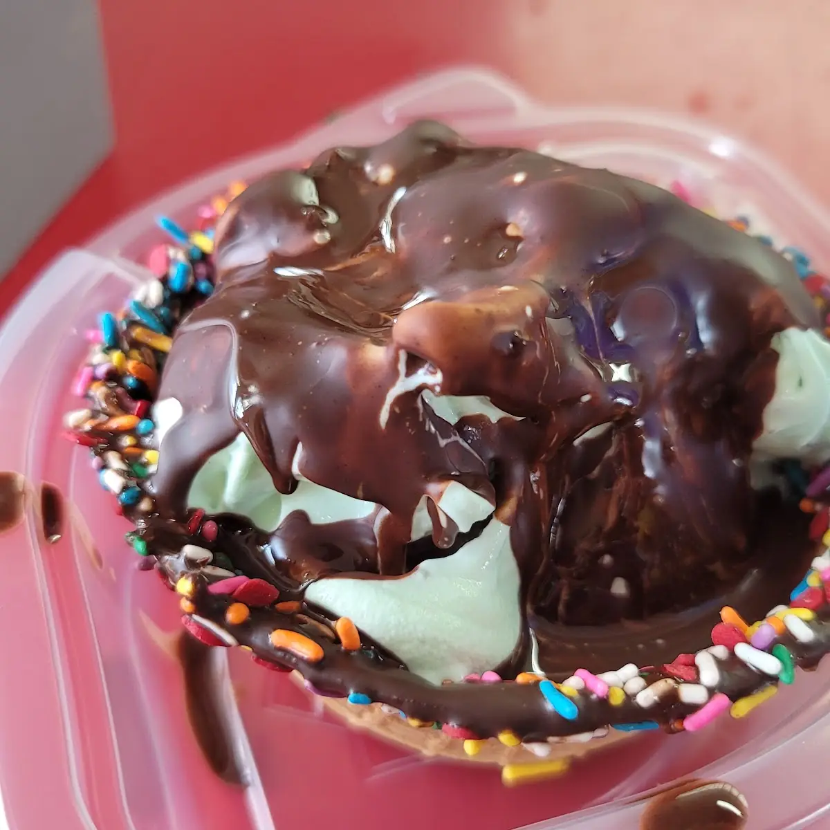 Mint Chocolate Chip Dipped in Chocolate
