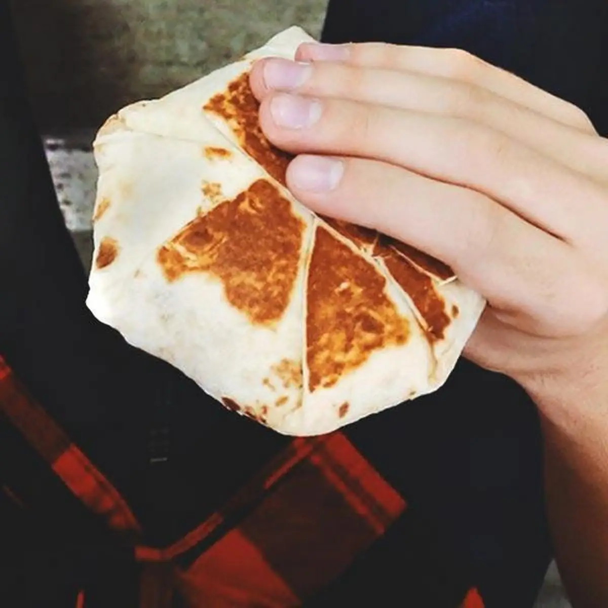 Quesadilla