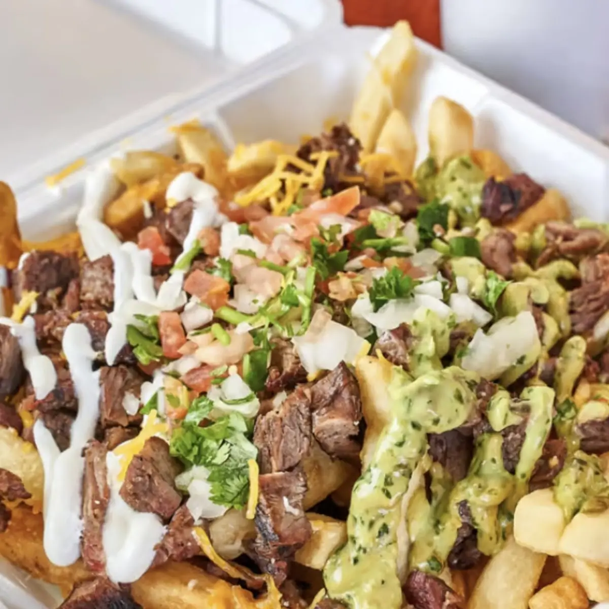 Carne Asada Fries
