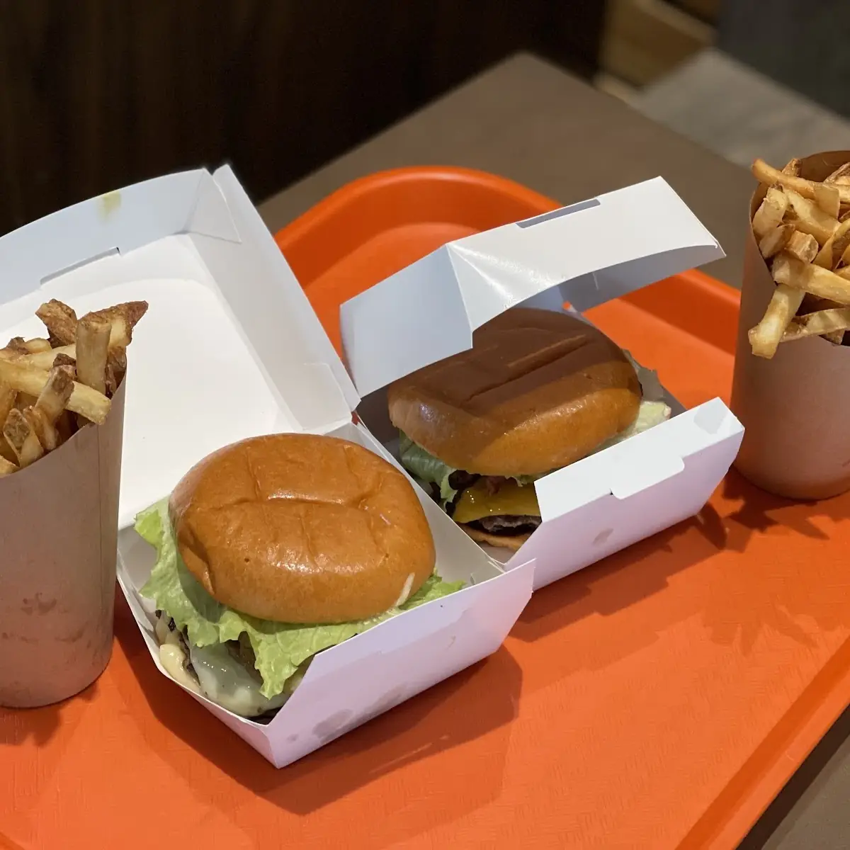 Burger & Hand Cut Fries
