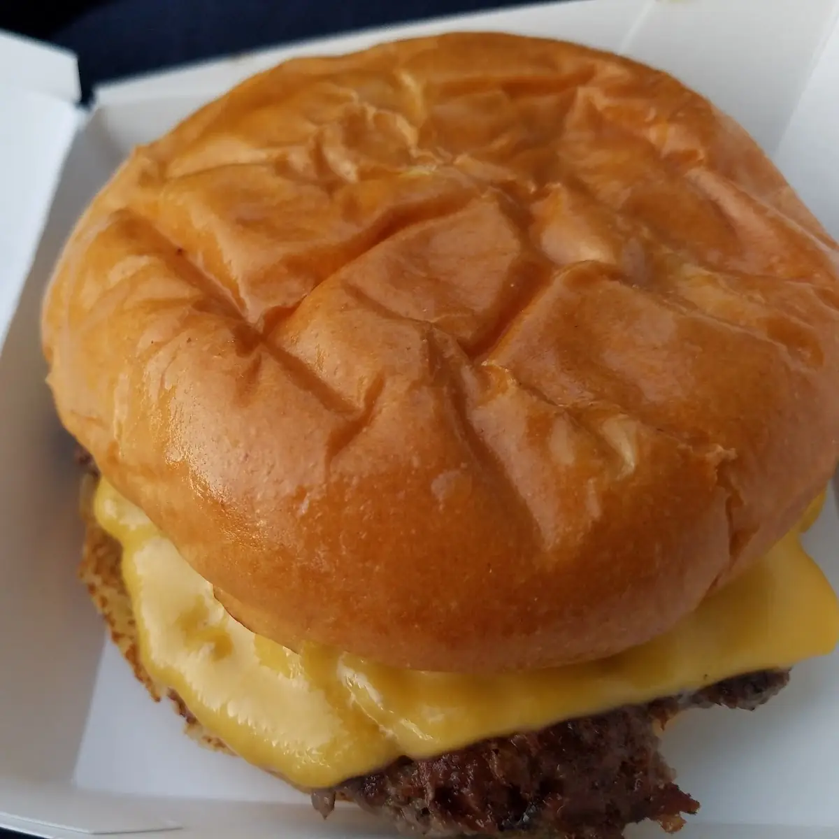 Cheese Burger with Tomato