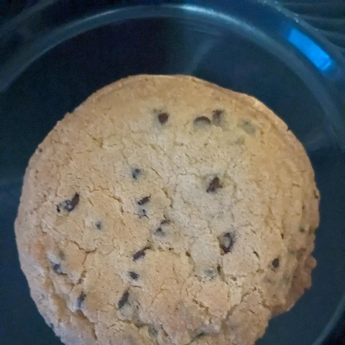 Chocolate Chip Cookie