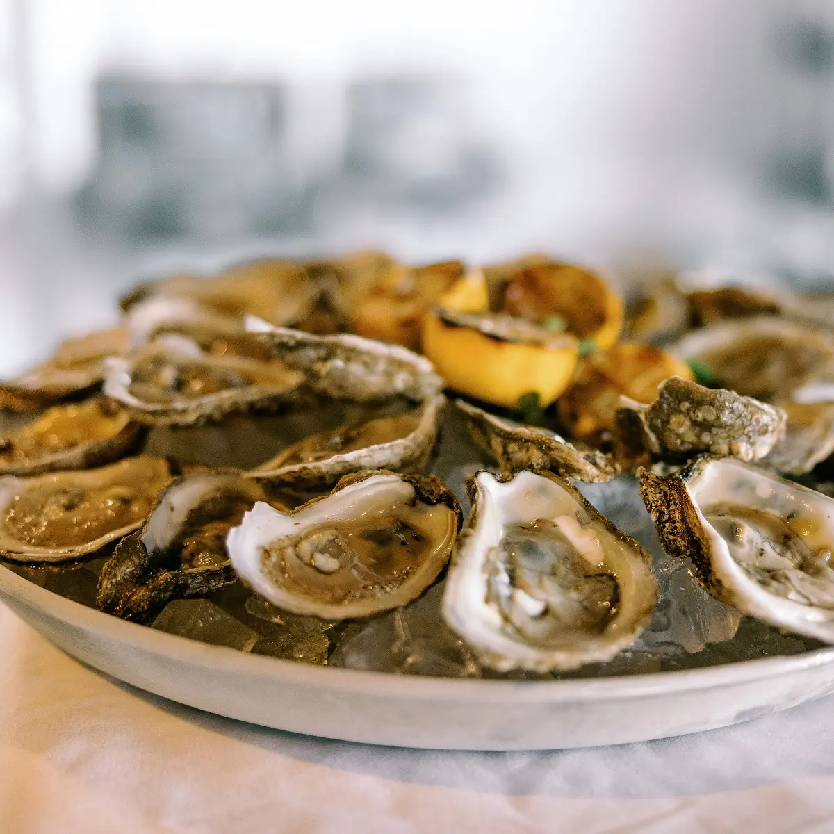 Fresh Oysters