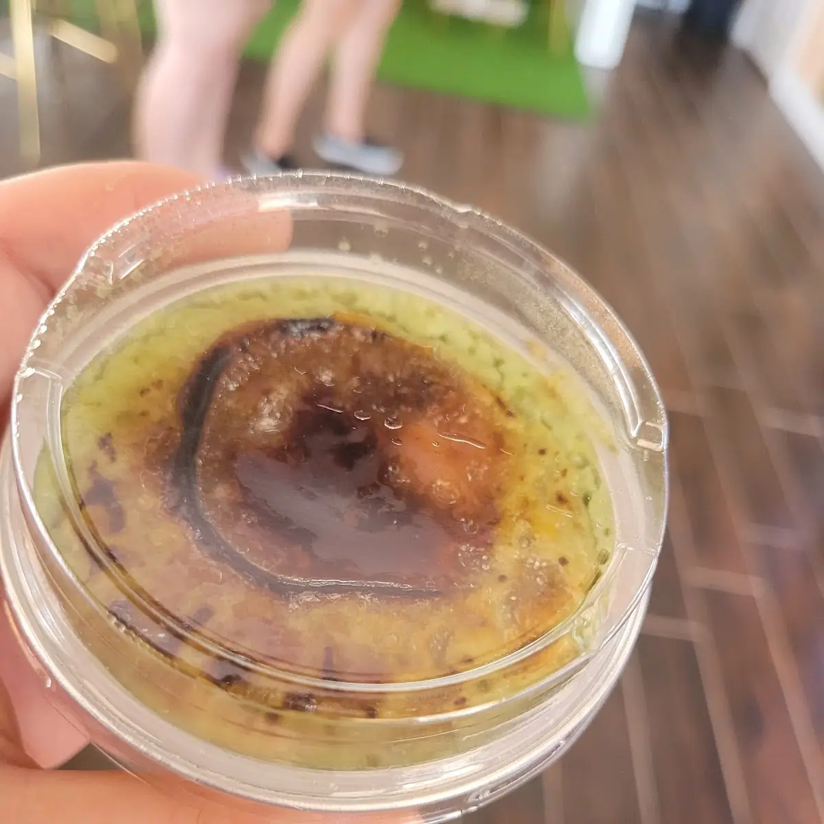 Matcha Cream Brulee