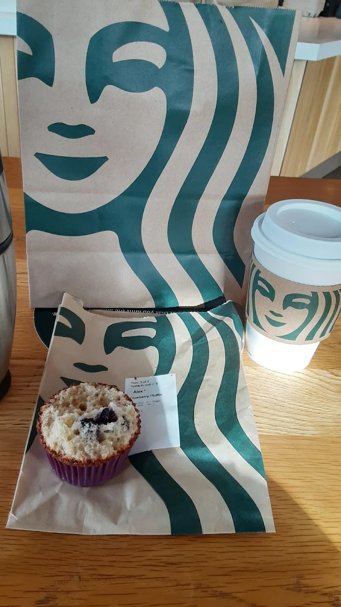 Blueberry Muffin