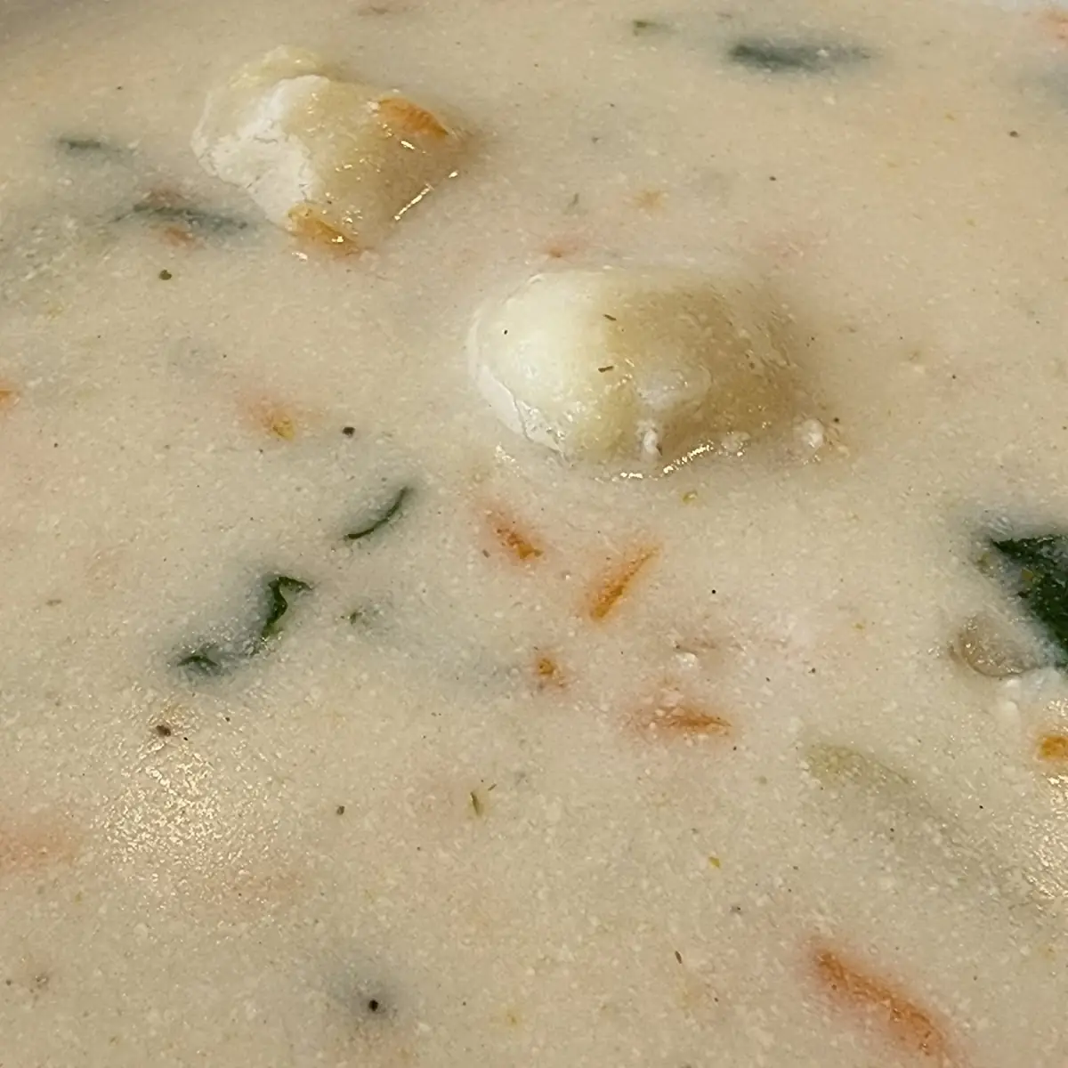 Gnocchi Soup