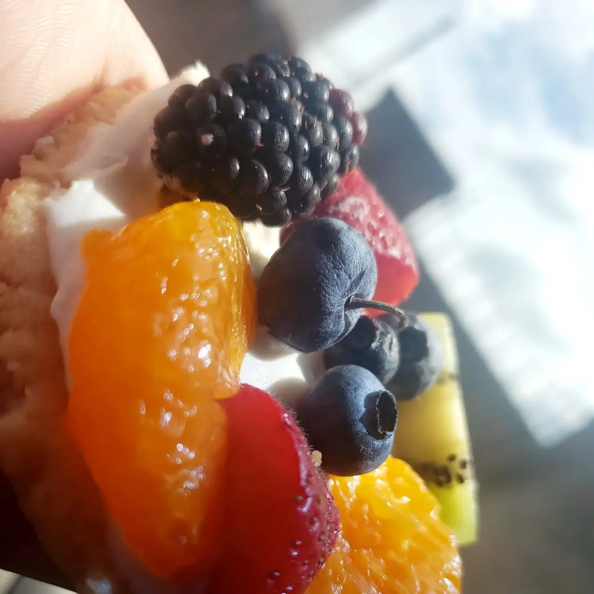 Fruit Tart