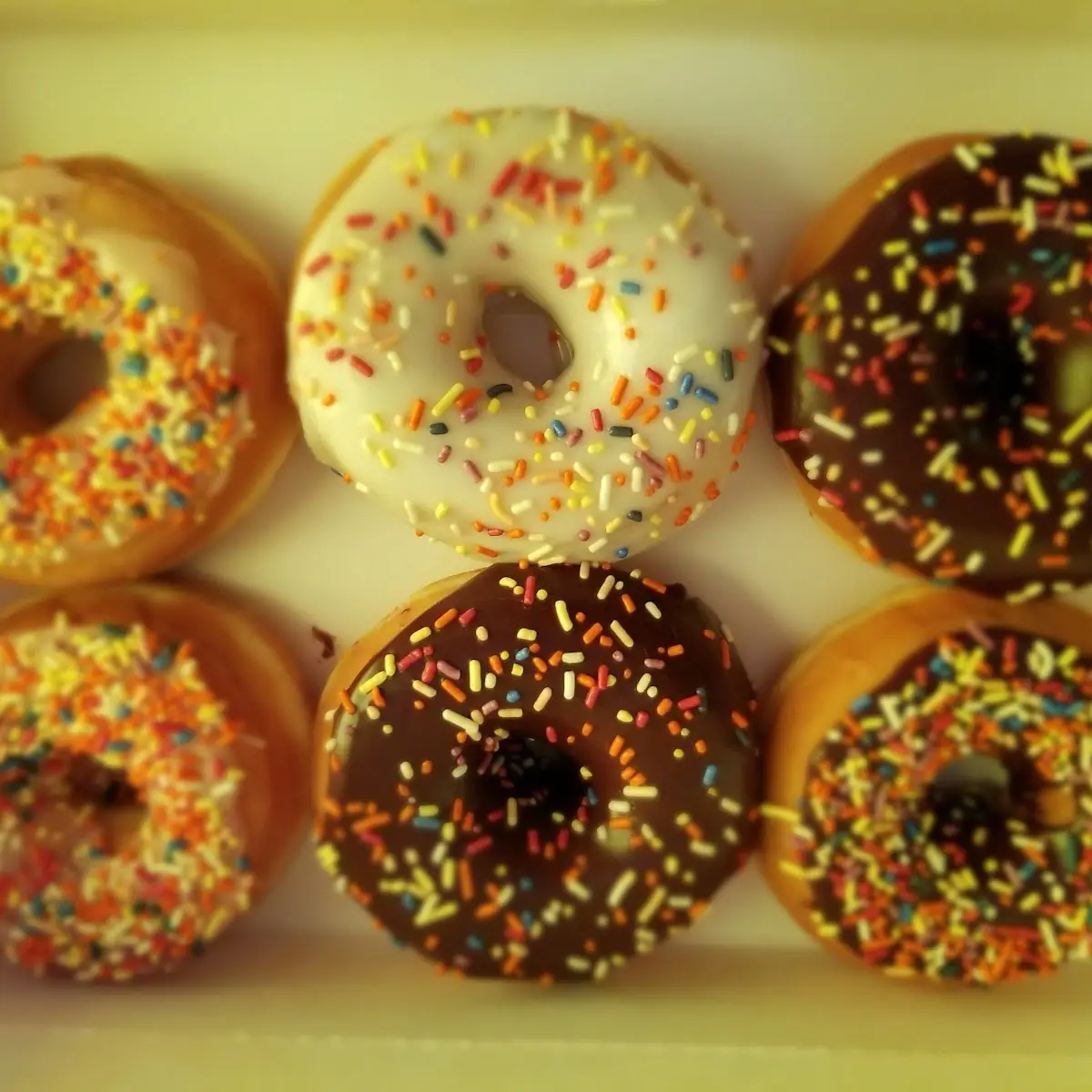 Doughnut
