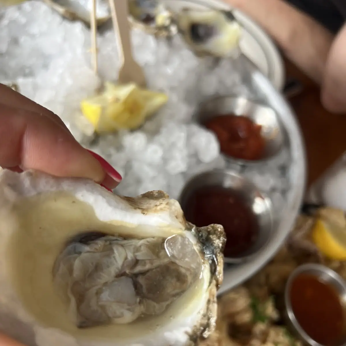 Fresh Oysters on Crushed Ice