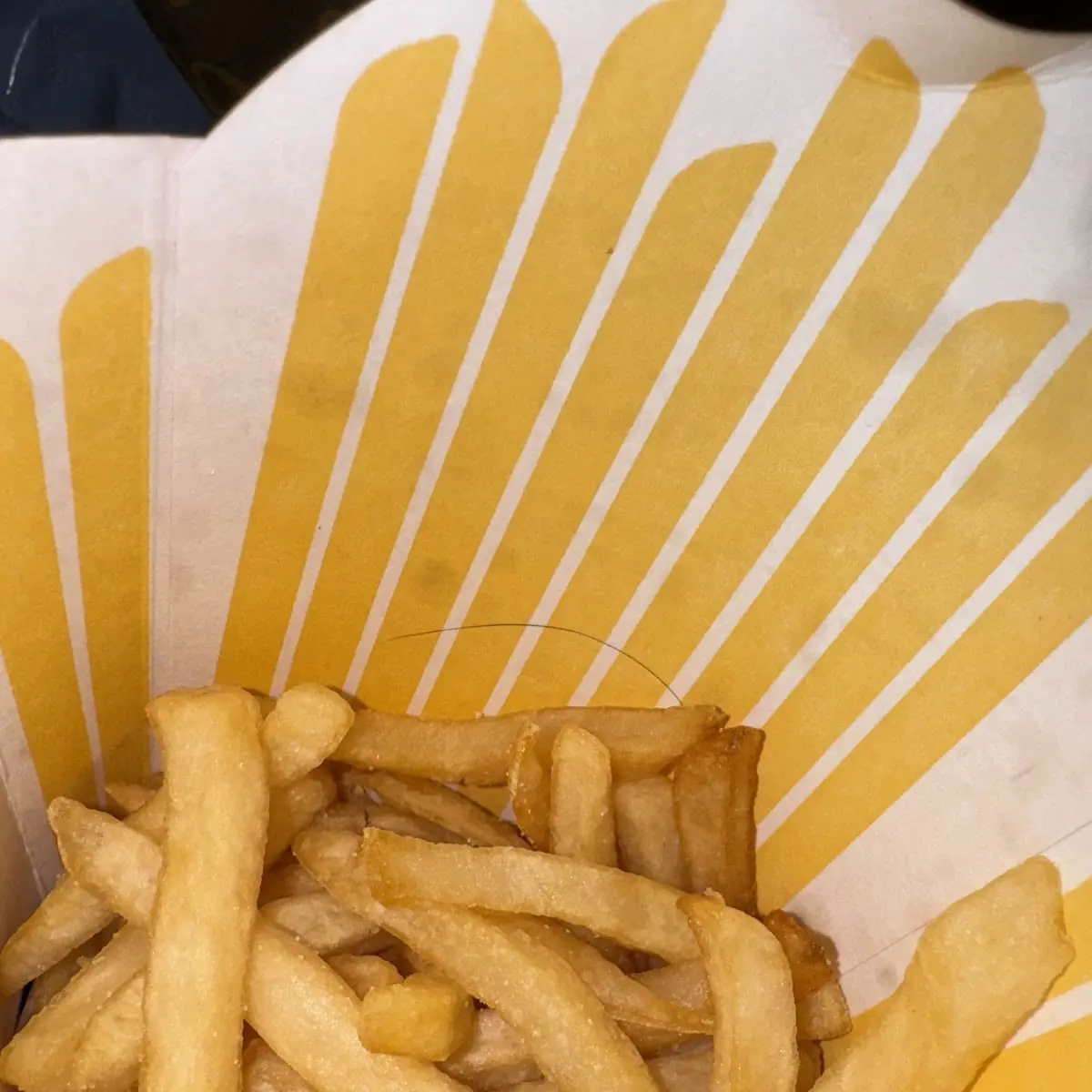 World Famous Fries