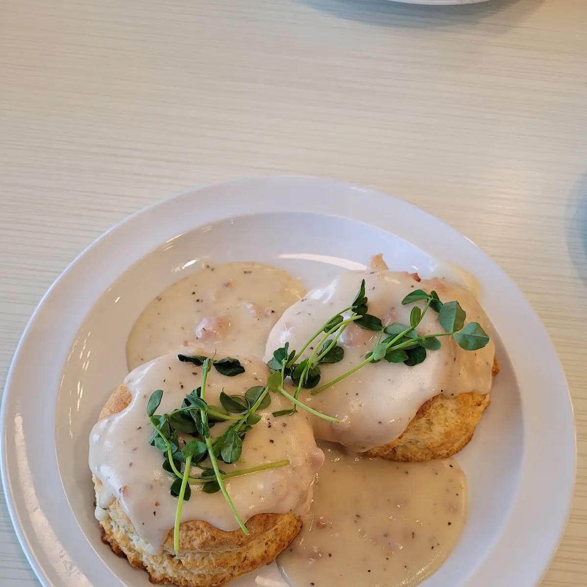 Homemade Biscuits and Sausage Gravy