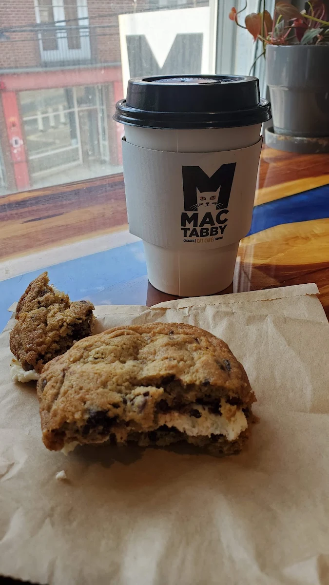 Chocolate Chip Cookie Sandwich