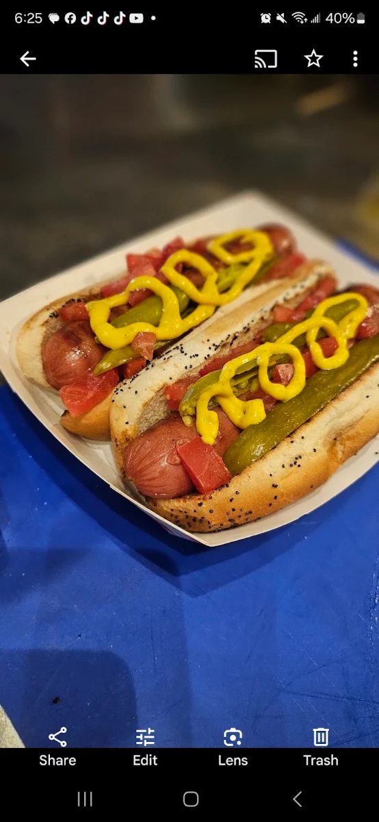 Chicago Hot Dog