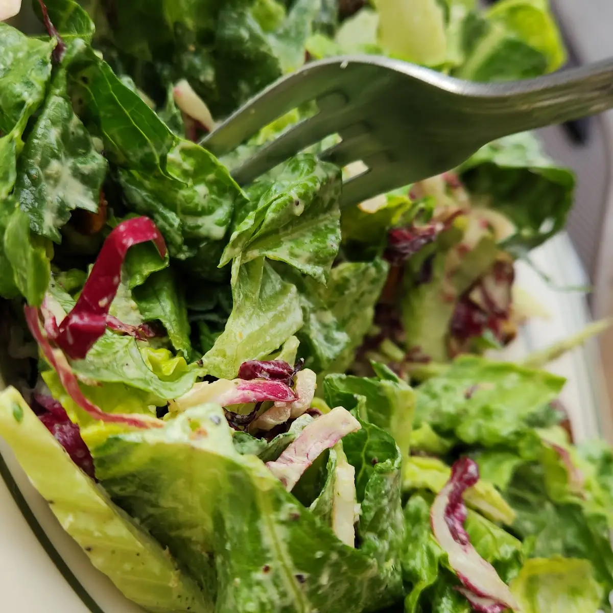 T and J Salad