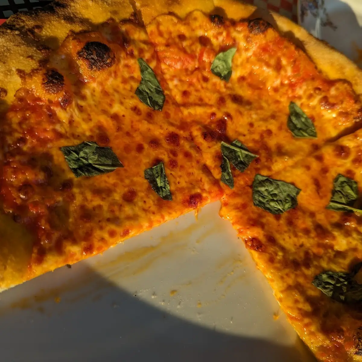 Margherita Pizza