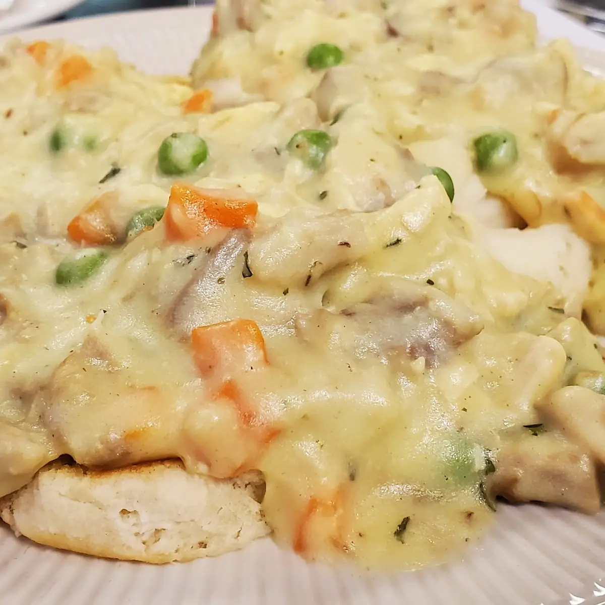 Cream Chicken over Biscuits and Mashed Potatoescream Chicken over Biscuits and Mashed Potatoes