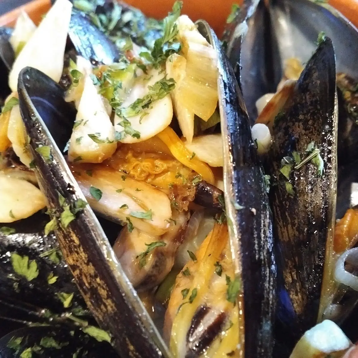 Mussels in White Wine and Garlic Sauce