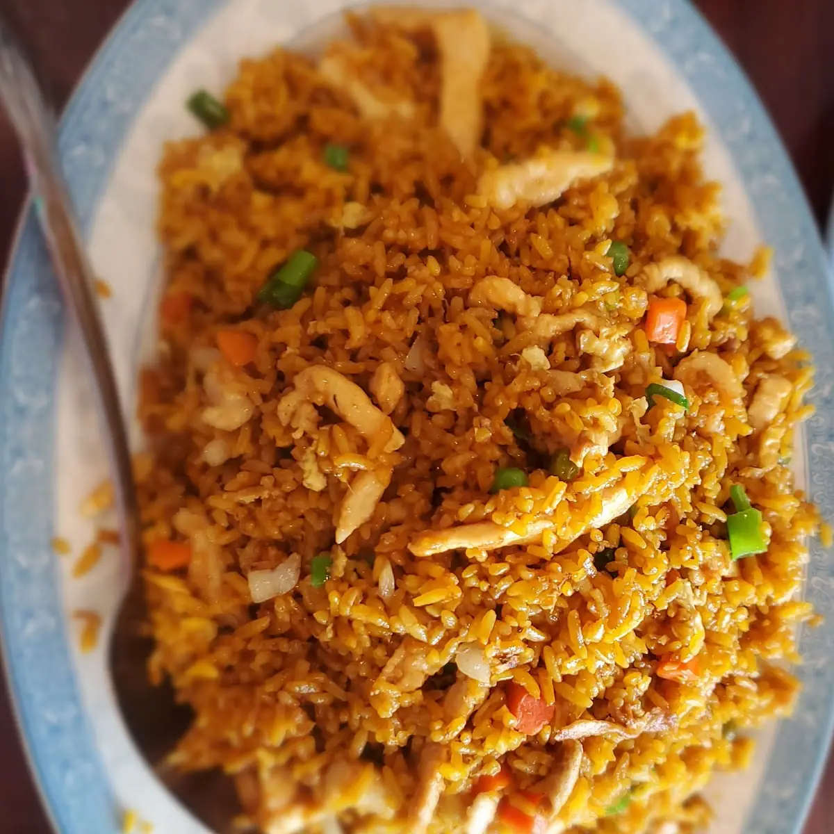 Salted Fish & Chicken Fried Rice