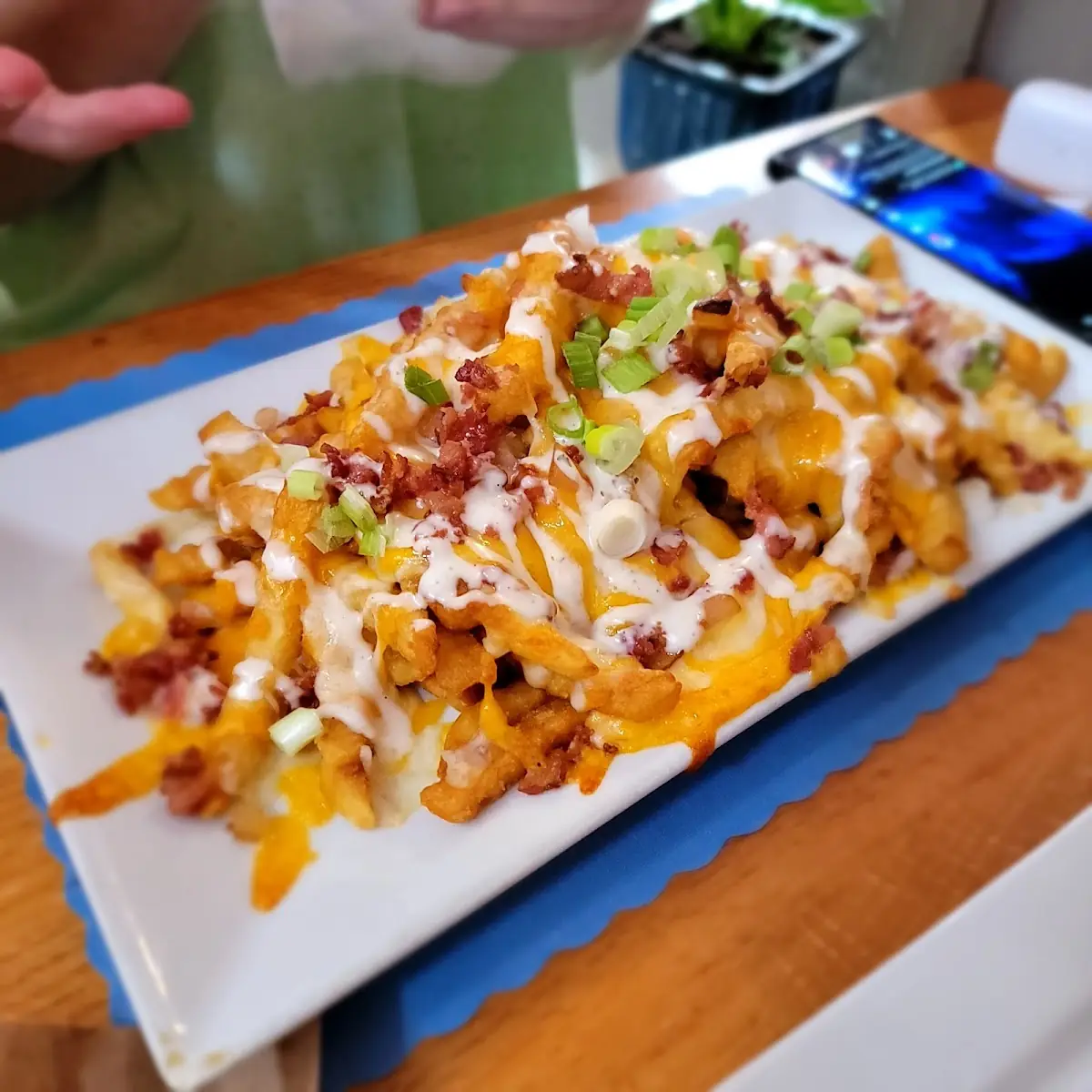Loaded Fries