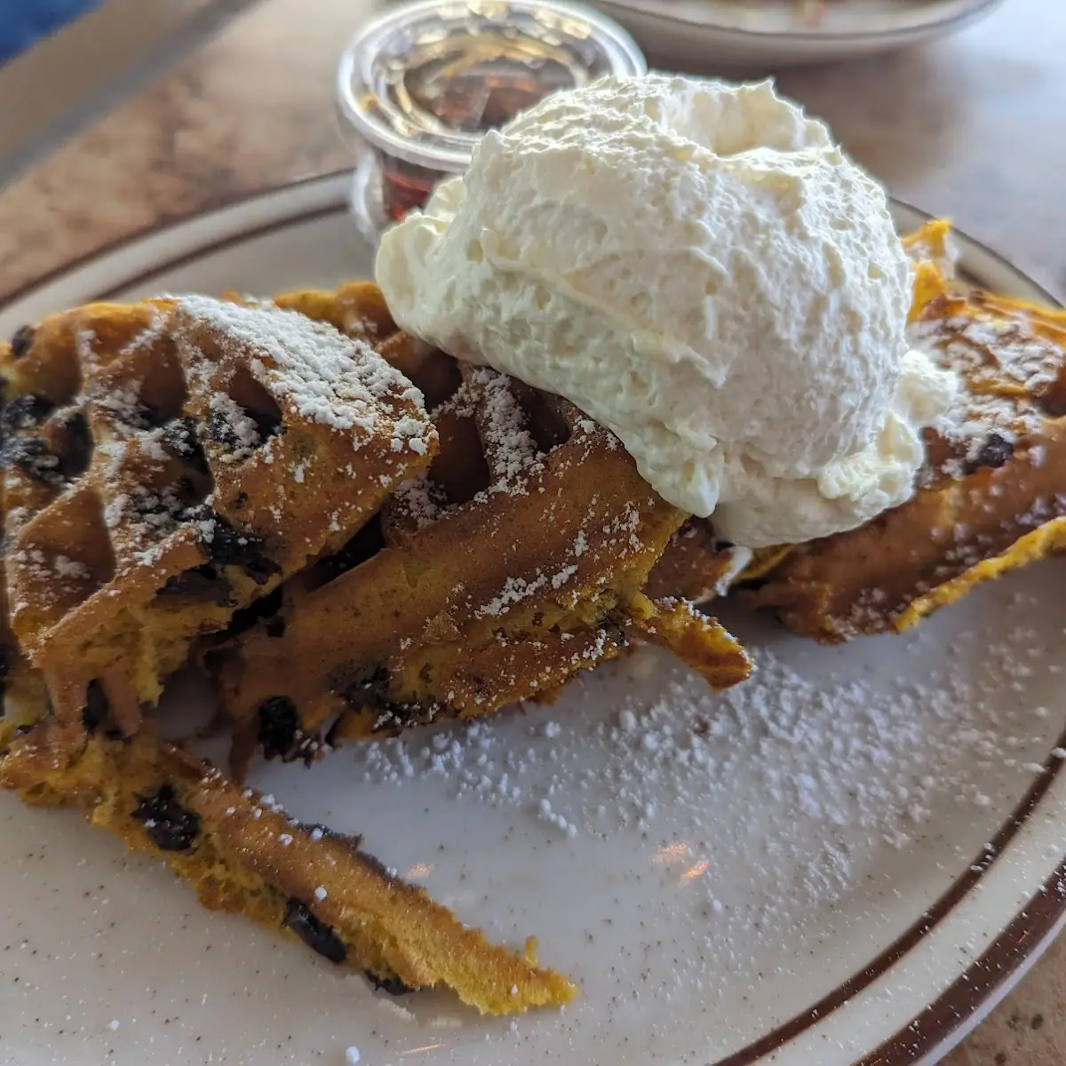 Pumpkin Chocolate Chip Waffles
