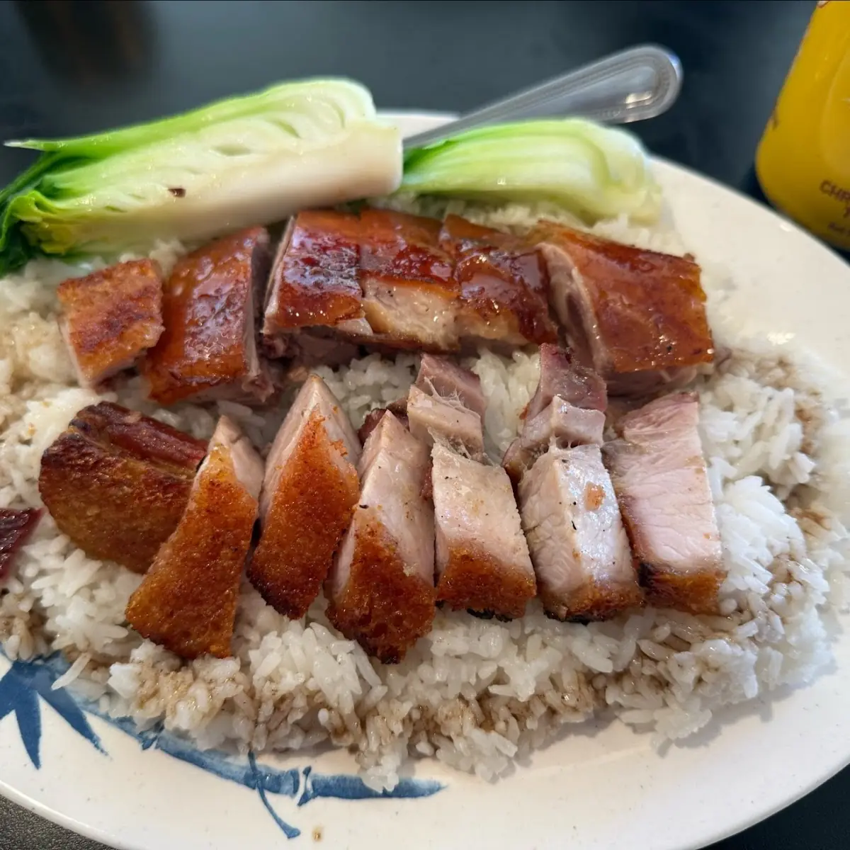 Roasted Duck over Rice