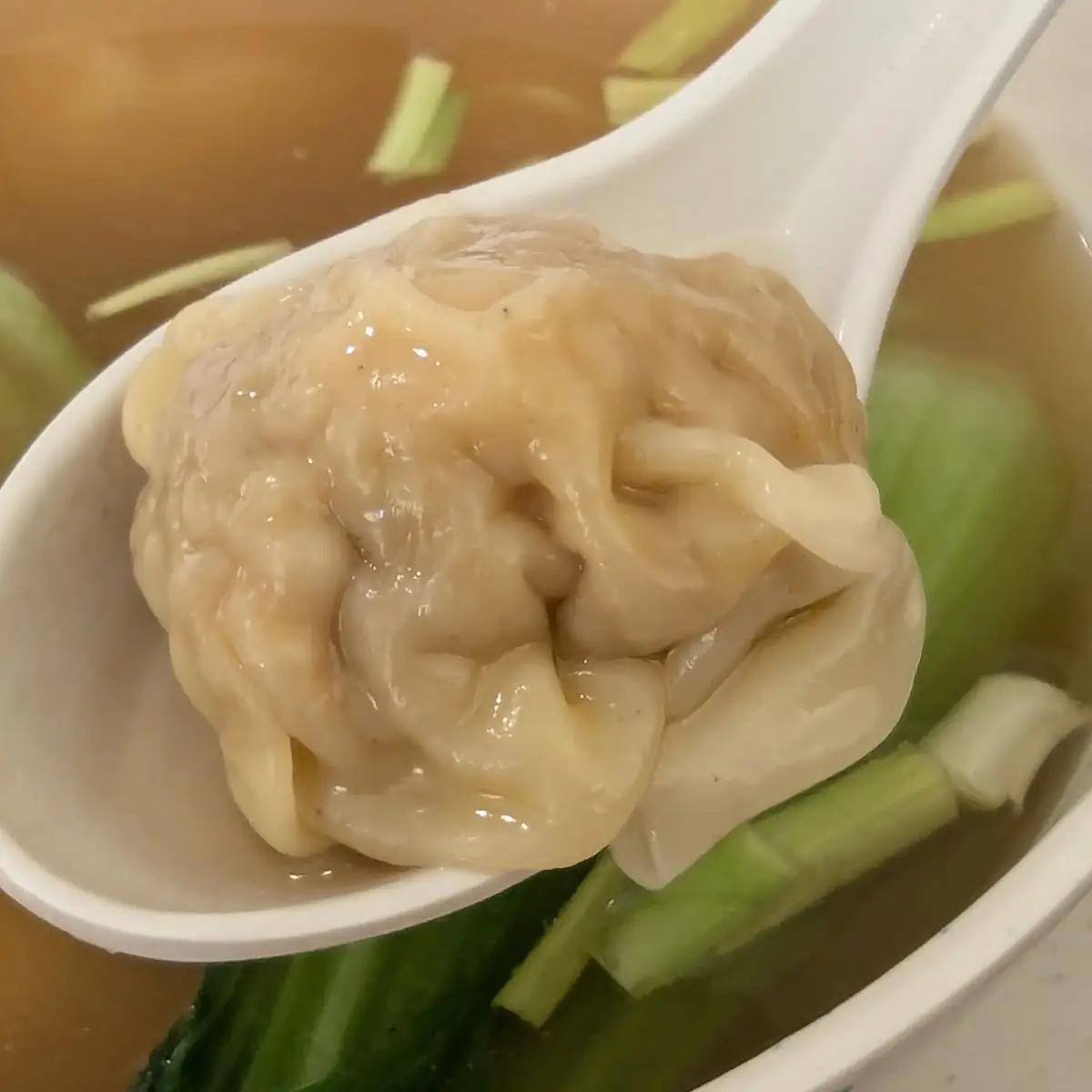 Wonton Soup