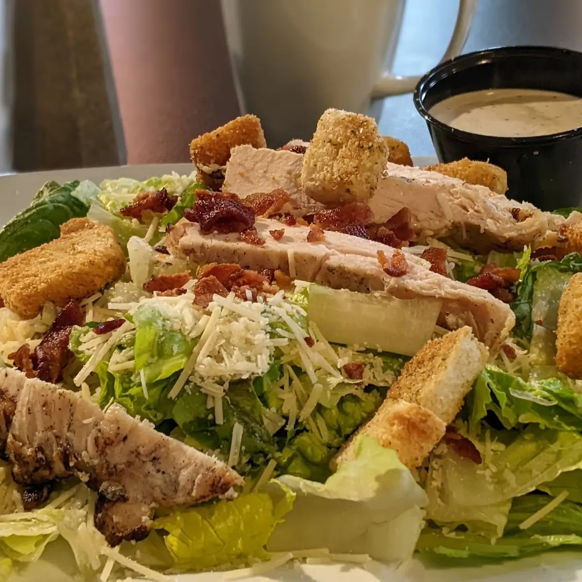 Grilled Chicken Caesar Salad