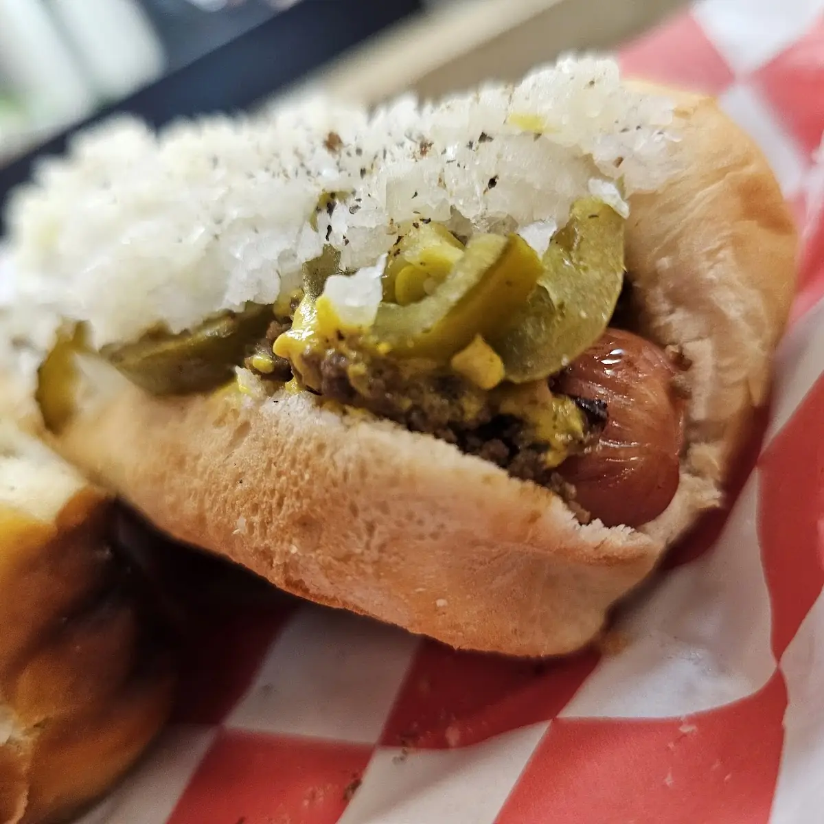 Plain Hot Dog