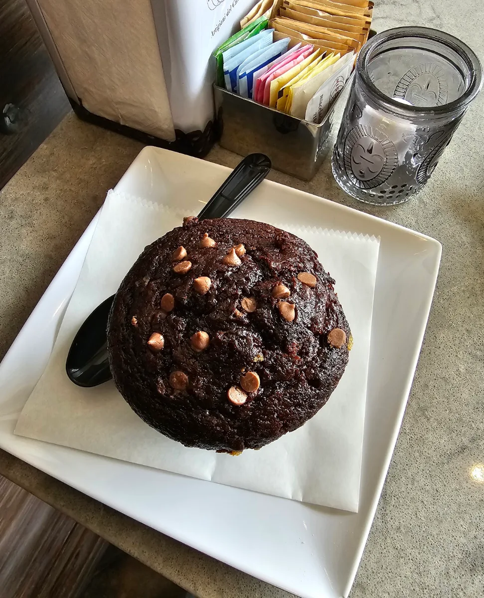 Double Chocolate Muffin